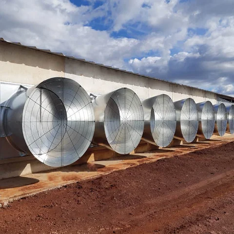 Plasson Brazil: два исполнения Straight Wall Fans