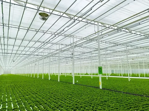 Jiashan HX: 116 V-FloFan в инновационном тепличном центре