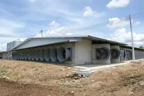 Titinun Farm: ременные конусные вентиляторы в Таиланде