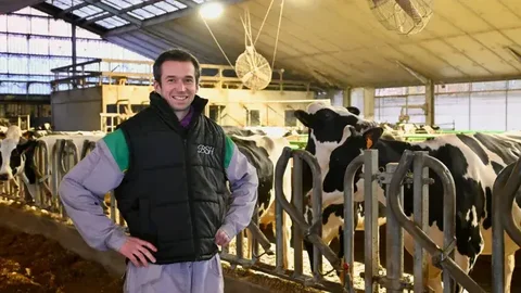 Bois Seigneur Holstein: обдув стойл и доильного робота
