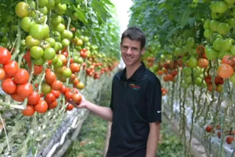 Intergrow Greenhouses: 94 V-FloFan в новом расширении