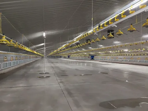 Climatec: комбинированная вентиляция Willow Farm
